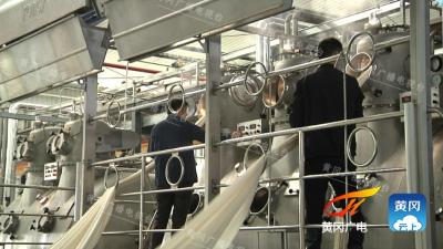 黄冈：技改激活工业发展新动能