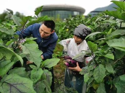心疼…… “公主殿下，请饶恕臣又不辞而别”