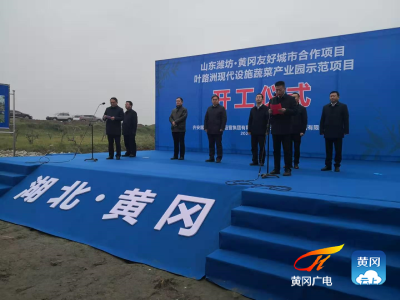叶路洲现代设施蔬菜产业示范园项目开工