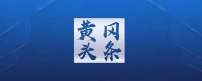 中共黄冈市委关于制定全市国民经济和社会发展第十四个五年规划和二〇三五年远景目标的建议