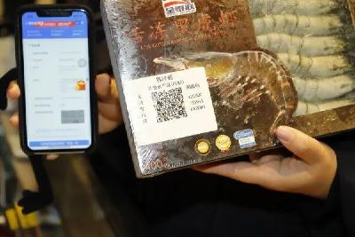 今起，买卖药品都要扫药品追溯码  药品追溯码怎么扫、有啥用？