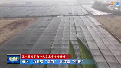 《深入学习贯彻十九届五中全会精神》  黄冈：为脱贫“造血” 让致富“生根”
