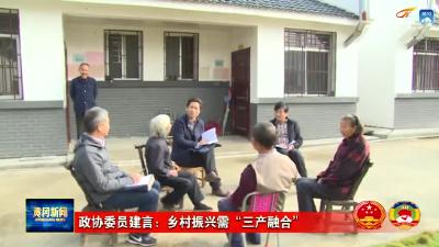 政协委员建言：乡村振兴需“三产融合”