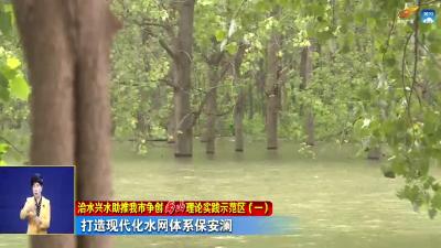 治水兴水助推我市争创“两山”理论实践示范区  -----打造现代化水网体系保安澜