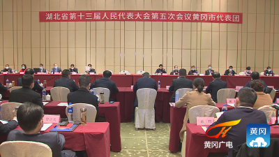 省十三届人大五次会议黄冈代表团召开第一次全体会议  推选刘雪荣为代表团团长、邱丽新 张社教为副团长