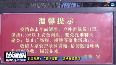 记者观察：“脚下留情” 请别踩踏草坪