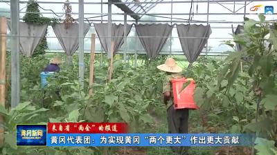 《来自省“两会”的报道》  黄冈代表团：为实现黄冈“两个更大”作出更大贡献