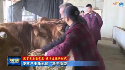 《脱贫不忘感党恩 携手奋进新时代》脱贫户王新元的“新年愿望”