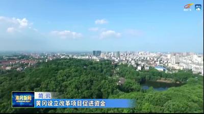 黄冈设立改革项目促进资金
