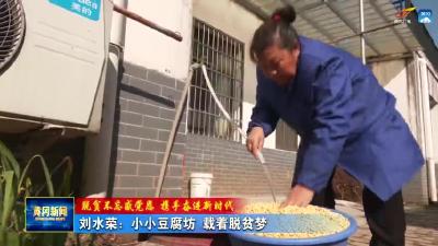 《脱贫不忘感党恩 携手奋进新时代》 刘水荣：小小豆腐坊 载着脱贫梦