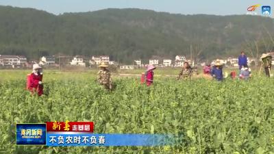 《新春走基层》 不负农时不负春