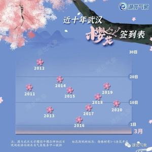 赏樱攻略来了！武大樱花将于26日前后开放