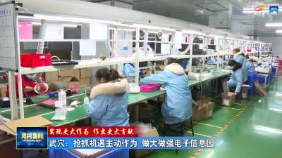武穴：抢抓机遇主动作为 做大做强电子信息园