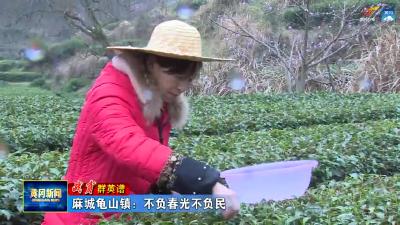 麻城龟山镇：不负春光不负民