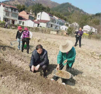 英山：春意盎然 春耕生产正当时