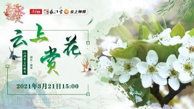 花开荆楚，云上钟祥邀您直播赏花