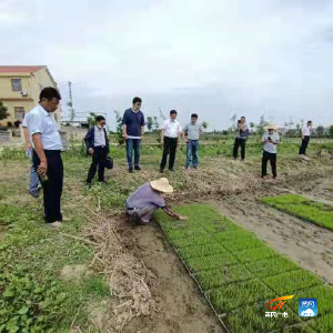 张世春：农民的贴心人  致富的好帮手