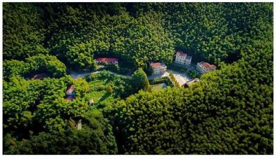 免费！半价！最新景区优惠信息