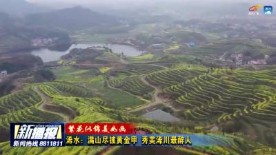 春暖花开 我市各地美如画