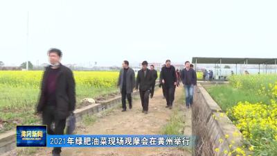 2021年绿肥油菜现场观摩会在黄州举行