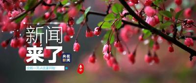 央视新闻 | 新闻来了〔2021.03.20〕