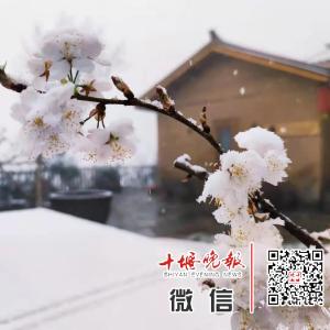 湖北这些地方下雪了！接下来的天气是……