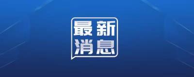 黄冈市政法队伍教育整顿顽瘴痼疾专项整治重点内容公告