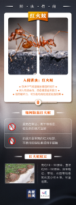 当心这些小东西！