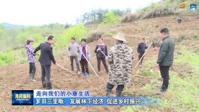 罗田三里畈：发展林下经济  促进乡村振兴