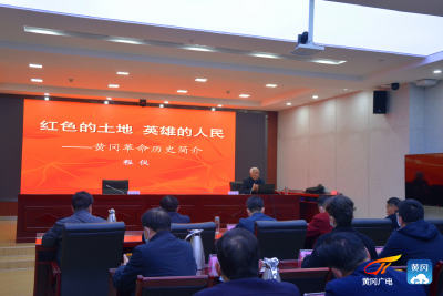 黄冈市应急管理局举办党史学习教育专题讲座