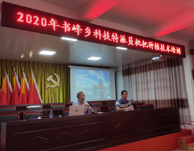 原产中国学名却叫“日本山楂”？他花了一辈子为枇杷“正名”