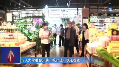 市人大常委会开展《统计法》执法检查