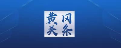 视频︱张家胜会见葛洲坝集团总经理宋领