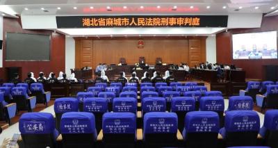 麻城市法院审理首例“地下钱庄”非法买卖外汇案