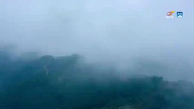 德尔福：做健康餐饮