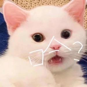 警方紧急提醒！这个微信好友申请，直接拉黑删除！