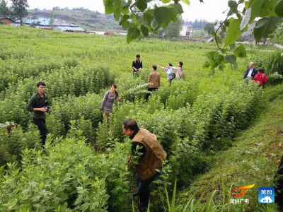 洪鹏飞：退伍不褪色  建功新时代