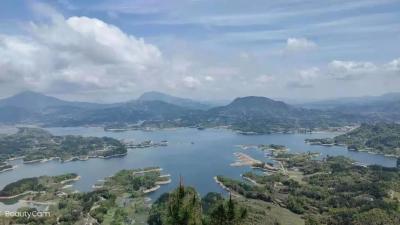 乡村“网红书记”为啥红