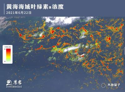 灾害规模已创历史最大值！到底有多严重？