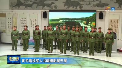 黄冈退役军人书画摄影展开展