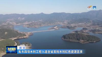我市四项水利工程入选全省首批水利红色资源名录