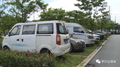 罗田县城区启用“智慧停车”系统 推进解决城区停车难题