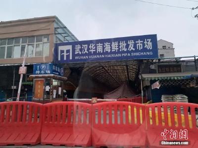 中疾控专家：武汉华南海鲜市场疫情存在冷链引入病毒可能