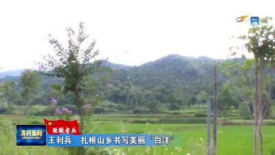 王利兵：扎根山乡书写美丽“白洋”