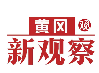 【黄冈新观察】董振兴：争做乡村振兴领头雁