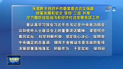 张家胜主持召开市委常委会会议强调  统筹发展和安全 坚持“三战”并举  全力做好战疫战汛和经济社会发展各项工作