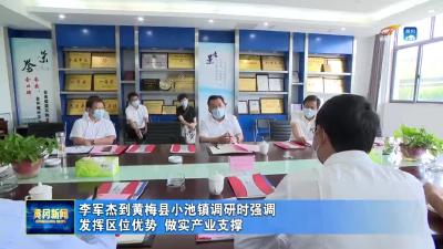 李军杰到黄梅县小池镇调研时强调   发挥区位优势 做实产业支撑