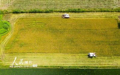 “考试”仍在继续，如何走好新的赶考之路？ | 人民观点