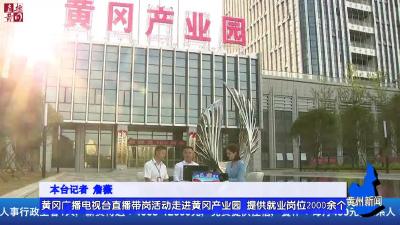 黄冈广播电视台直播带岗活动走进黄冈产业园 提供就业岗位2000余个