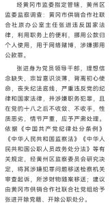 张进被移送司法机关依法处理